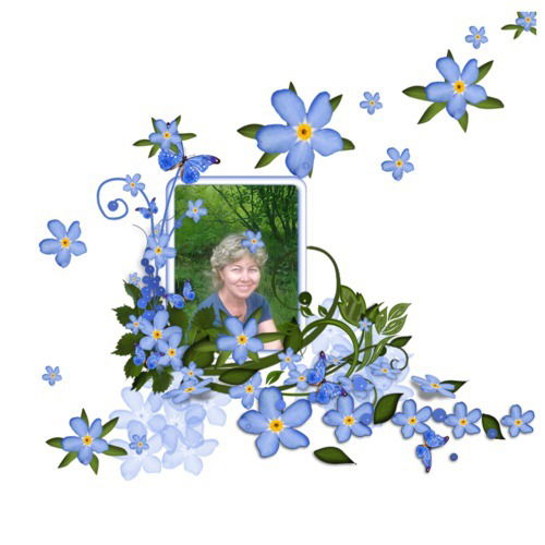 Ольга Шипелова