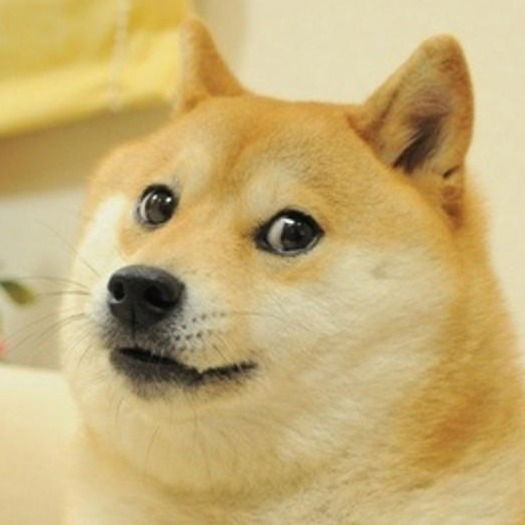 Алексей Бубнов