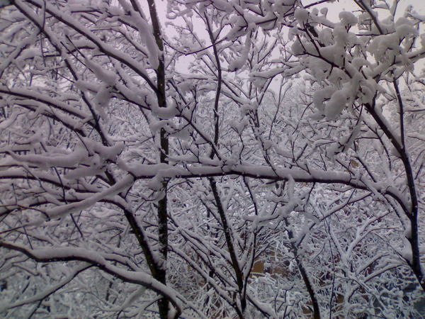 Ольга Будкина