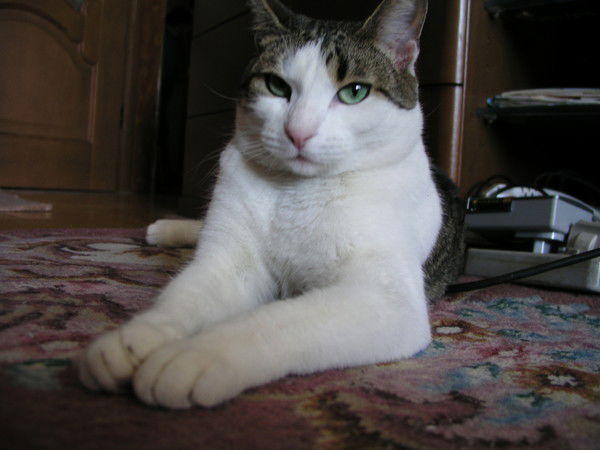 Юлия Бархатлева