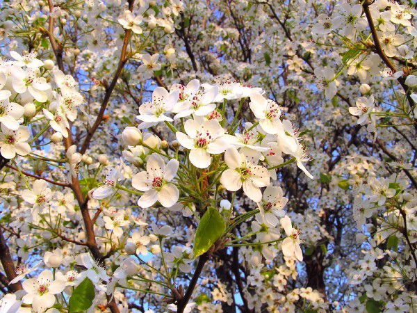 Марина Утенкова