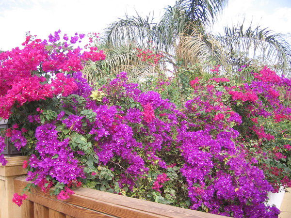 Таспаева Гульшат