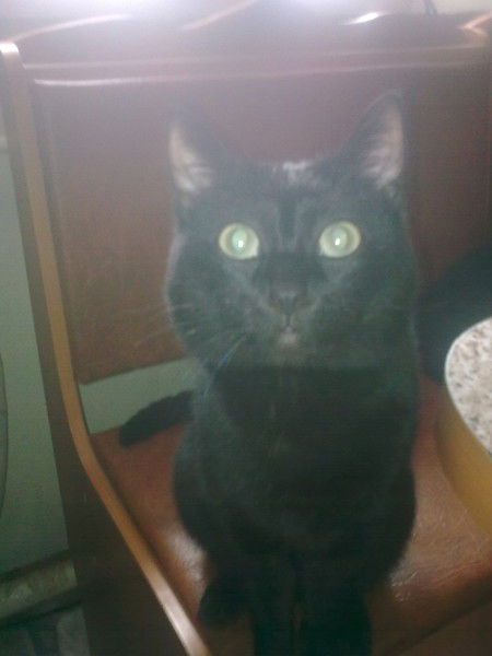 Наталья Дихтярук