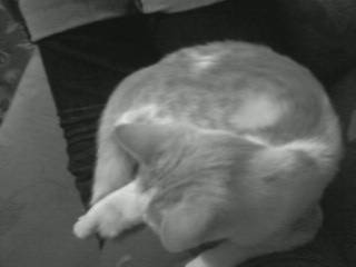 Разия Искакова