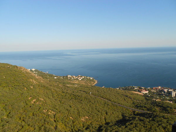 Александр Березовой