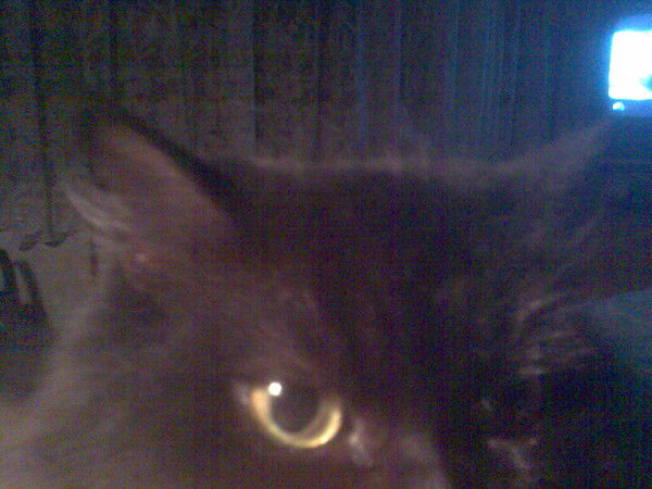 Ольга Суслова