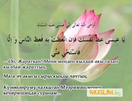 Акматов Айбек