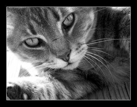 Алёна Глушкова