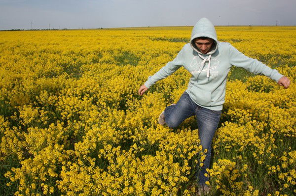 Гармония ...