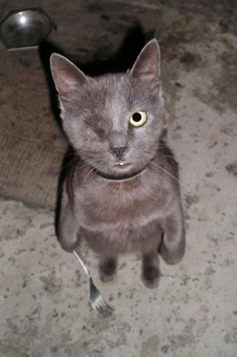 Андрей Живетьев