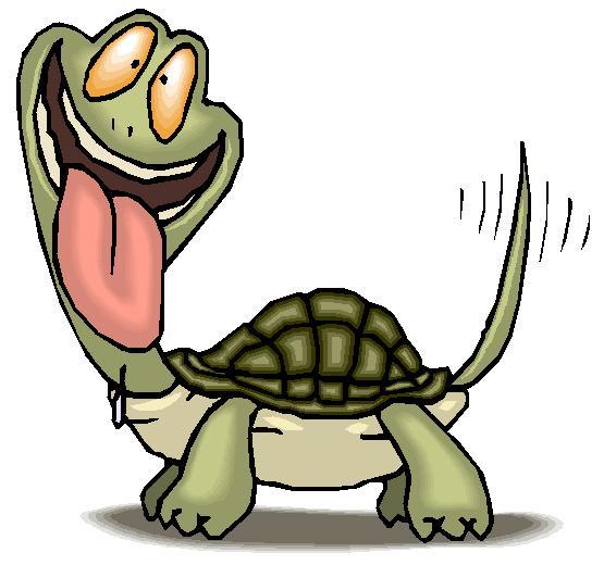 Светлана Кожевникова