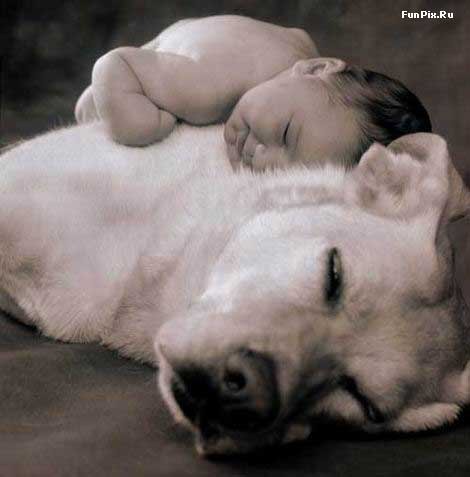 Наталья Сажина