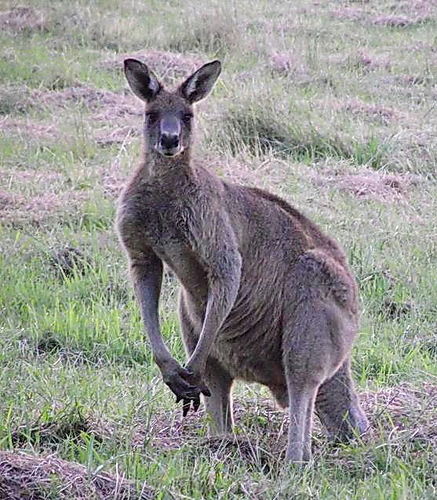 Марина Овсянникова