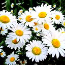 Наталья Поляк