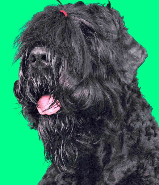 Дьяков Владислав