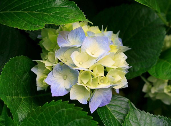 Нурай Аскарова