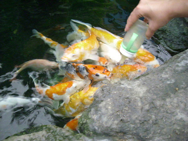 Ирина Хромова