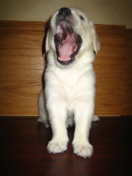 Людмила Отришко