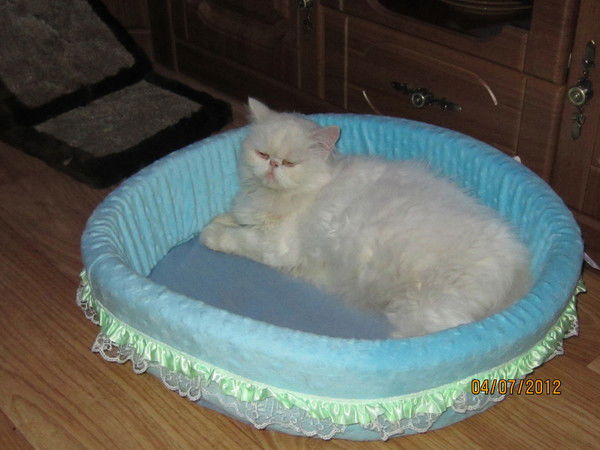 Анна Сухинина