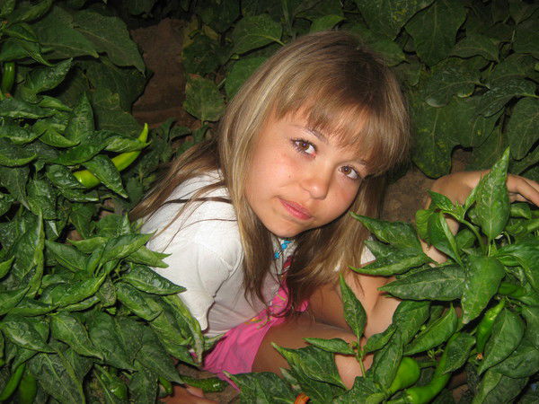 Полина Арнаутова