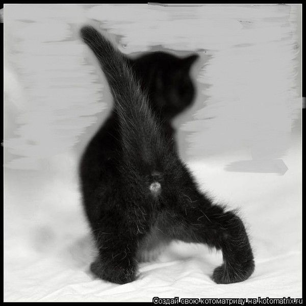 Ирина *********