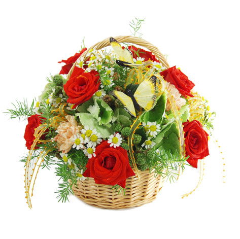 Айнура Таскынова