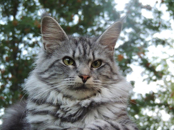 Андрей Анопов