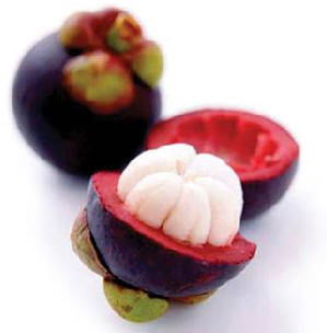 Жанна Толыкпаева