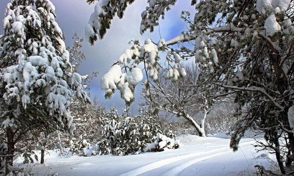 Ольчик Сивцова