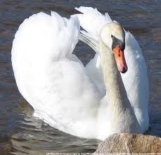 Гаухар Сагынбекова