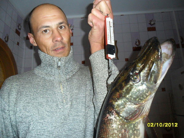 Денис Ильин