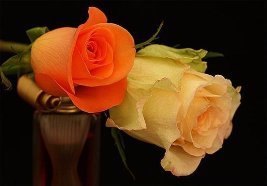 Гульжан Стамкулова