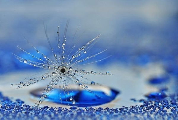 Дана Рысалдинова