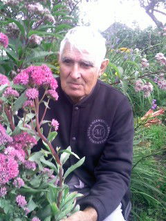 Владимир Соколов