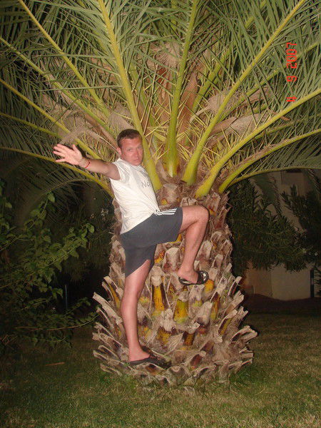 Олег Сидоренко