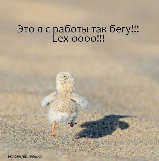 Алена Задригун