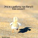 Алена Задригун