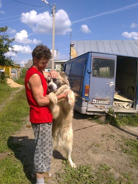 Роман Самсонов