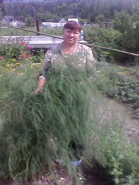 Фаина Снопок