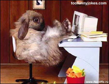 Казбек Баков