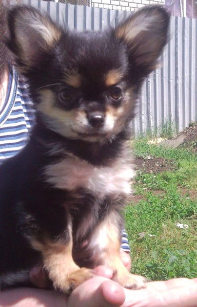 Лиана Корепина