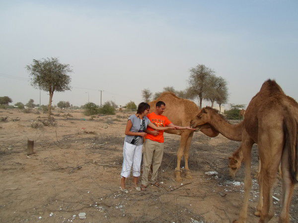Елизавета Кайра