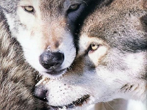 Евгений Смирнов