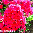 Лариса Сазонова