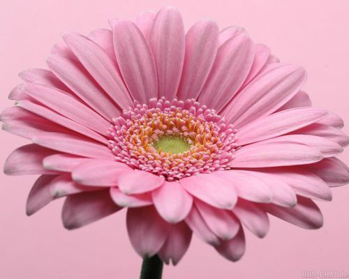 Марта Мартовна