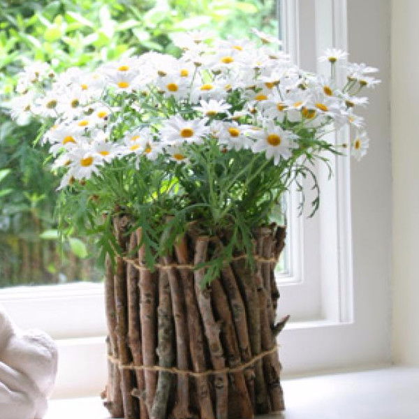 Ольга Ольга