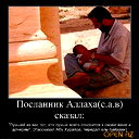 Сухраб Амраев