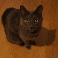 Матвей Глазков