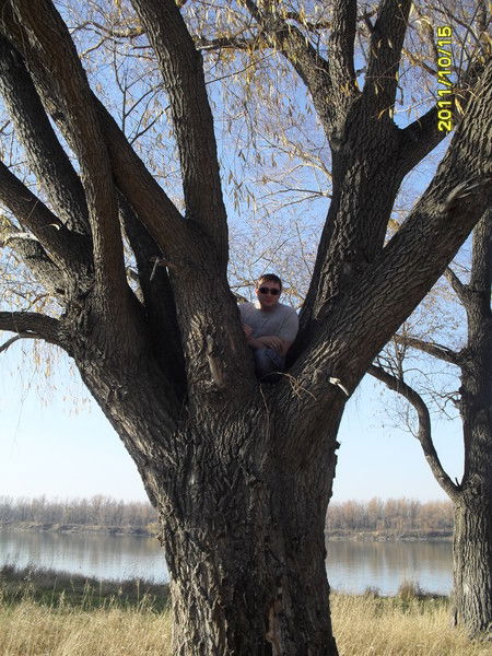 Александр Пригода