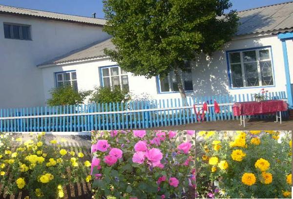 Моу Сош Суш